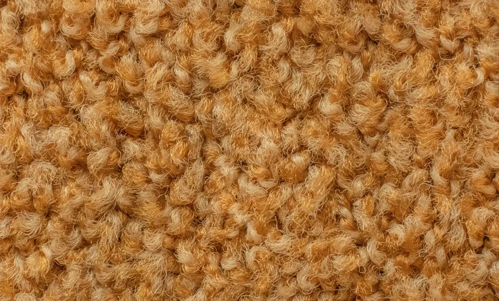 Vorwerk Exclusive1009/Elara 2d91 фото 2 | FLOORDEALER